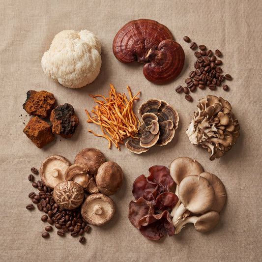 The Ultimate 11-Ingredient Mushroom Coffee for Hormone Balance: How This Power-Packed Blend Transforms Women's Health